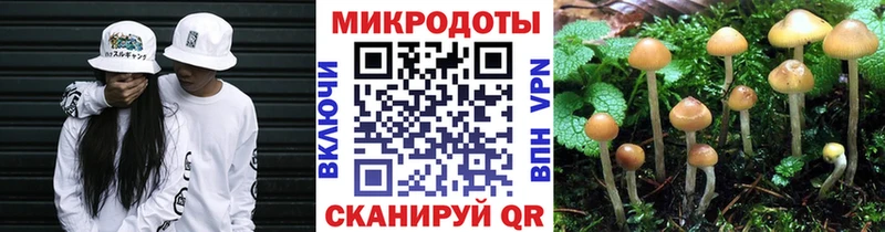Галлюциногенные грибы мицелий  как найти закладки  Ковылкино 